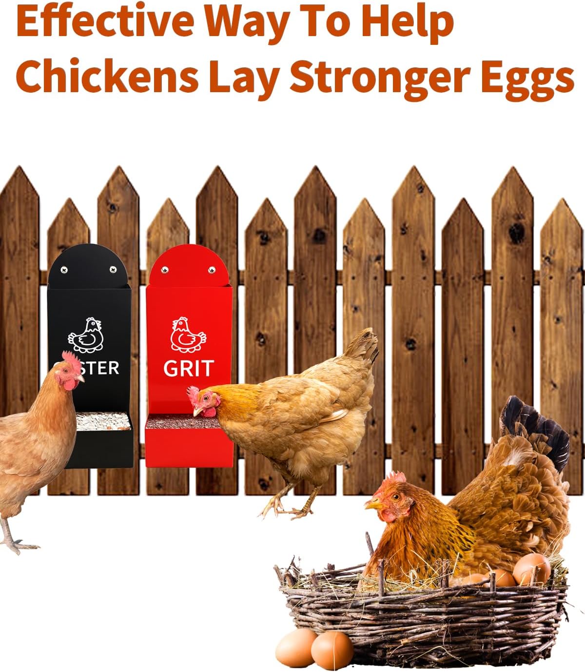 Chicken Oyster Shell Feeder and Grit Feeder Metal Chicken Feeder Chicken coop Accessories Automatic Chicken Feeder