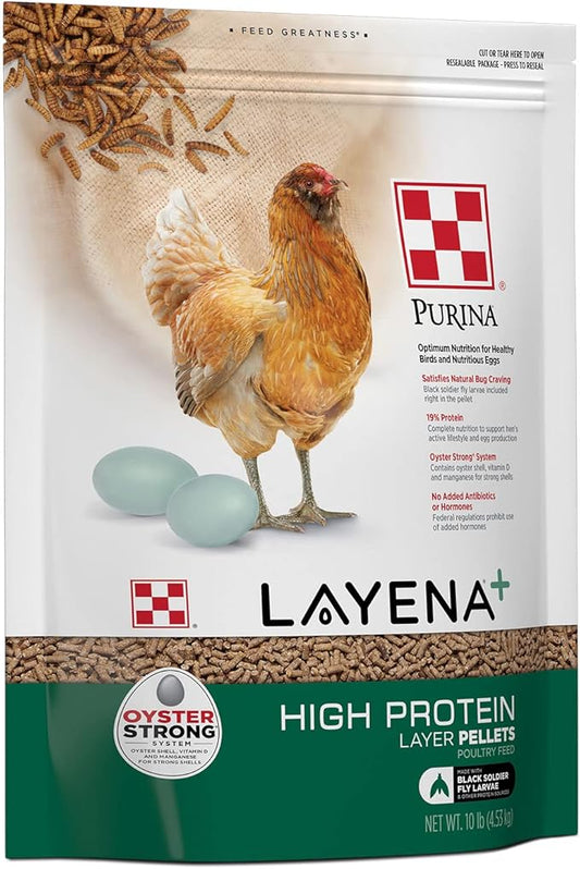 Purina Layena + High Protein Layer Chicken Feed (10 Pound)