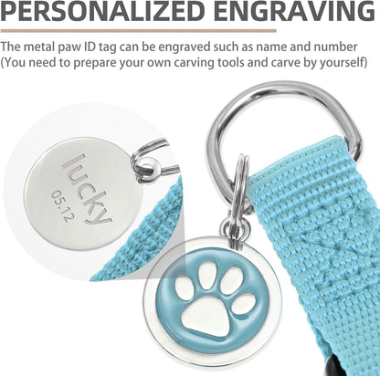 PUPTECK No Pull Dog Harness Soft Adjustable Basic Nylon Step in Puppy Vest Outdoor Walking with ID Tag and A-ir Tag Case, Sky Blue, L