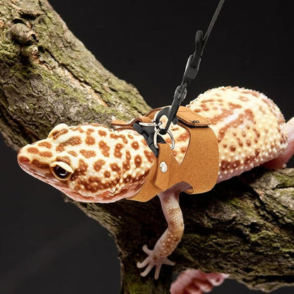 3 Pcs Bearded Dragon Harness and Leash Set Adjustable Leash Soft Leather Bearded Dragon Harness Lizard Accessory for Squirrels and Other Small Reptiles(Brown, 3 Sizes)