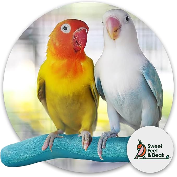 Sweet Feet and Beak Safety Pumice Perch - Trims Nails and Beak - Promotes Healthy Feet - Safe Non-Toxic Bird Supplies for Bird Cages - Small 8"