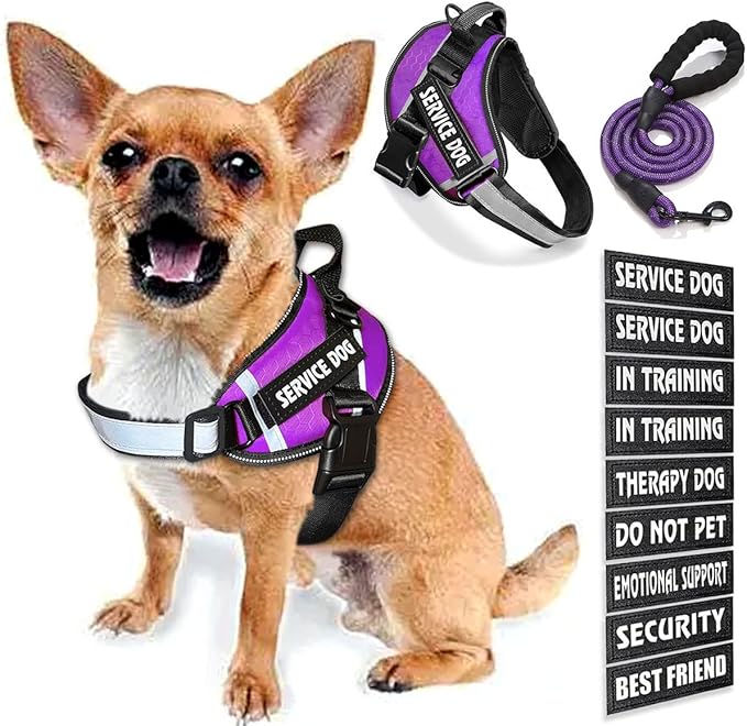 Service Dog Vest, 9 Dog Patches No Pull Dog Harness and Leash Set with Handle,Easy On and Off Pet Vest Harness with Night Safe Reflective Straps for Small Medium Large Breed Dogs