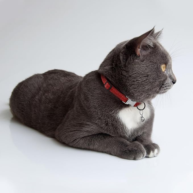 Leather Cat Collar with Buckle and Removable Bell - Non Breakaway Adjustable Soft Safety Small Pet Collars for Girl Boy Cats Kitten (Red)