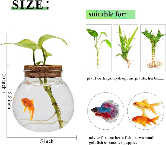 Small Betta Fish Tank Glass Fish Bowls for Betta Fish Goldfish, Aquaponic Fish Tank and Plants Cuttings Planter Terrarium Desktop Decorations Gifts
