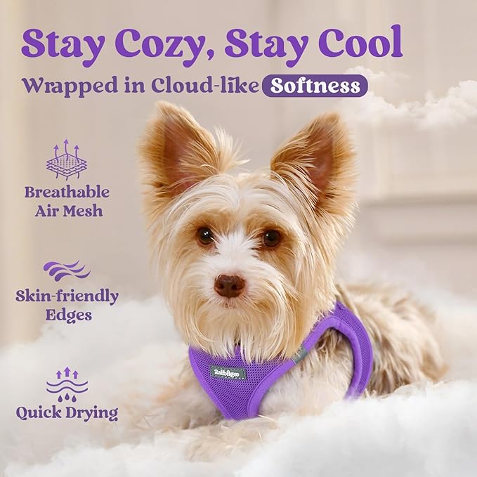 rabbitgoo Small Dog Harness, Step-in Soft Mesh Puppy Vest with Safety Buckle, Breathable Reflective Pet Harness for Extra Small Dogs, Purple XXXS