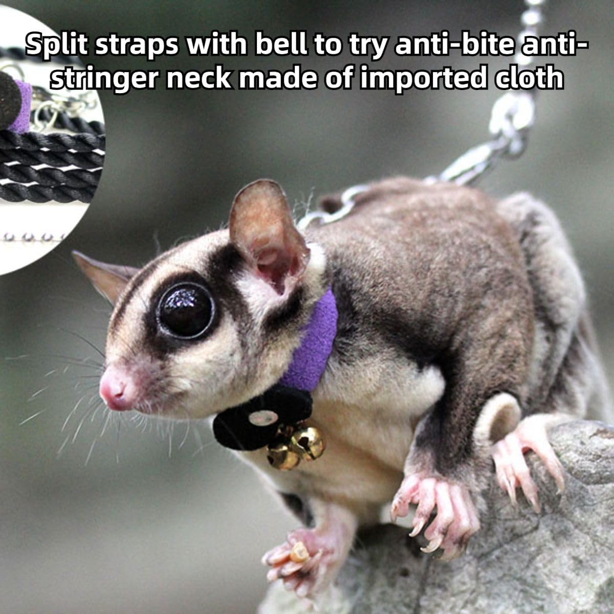 Sugar Glider Traction Rope Strap Anti-Biting Chain Rope, Small Animal Walking Collar Harness with Lead Leash for Hamster Gerbil Rat Mouse Ferret Chinchilla Squirrel (Blue)