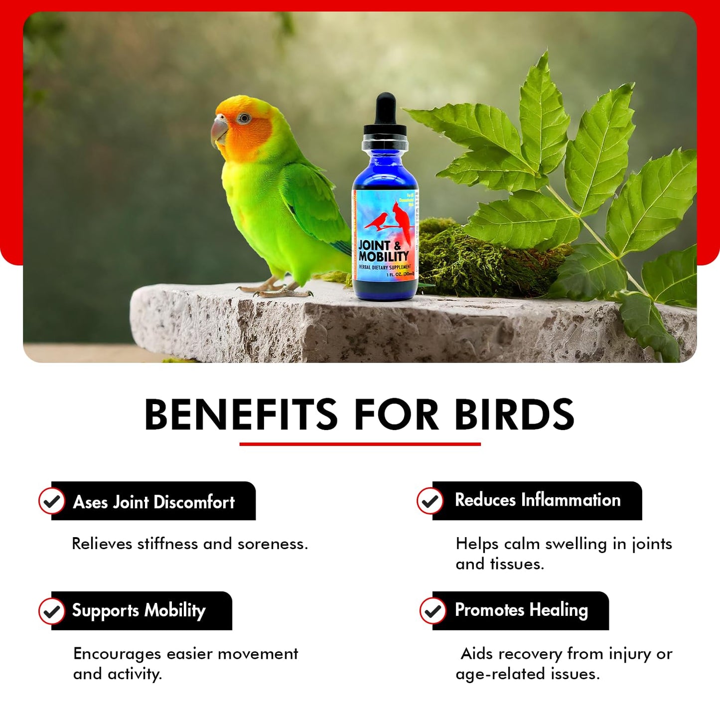Morning Bird Joint & Mobility 1 fl oz – Muscle Pain Relief Supplement for Joint Health, Stop Pain & Arthritis Supplements – Herbal Liquid Formula for Aging, Injured, or Stressed for All Bird Types