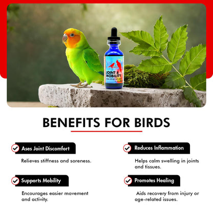 Morning Bird Joint & Mobility 1 fl oz – Muscle Pain Relief Supplement for Joint Health, Stop Pain & Arthritis Supplements – Herbal Liquid Formula for Aging, Injured, or Stressed for All Bird Types