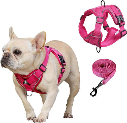 SOLMOONY Small Dog Harness,Soft Mesh Puppy Harness and Leash Set,No Escape Cat Harnesses for Training Walking,Reflective Adjustable Puppy Vest for Small Medium Dogs, Cats (Hot Pink, S)