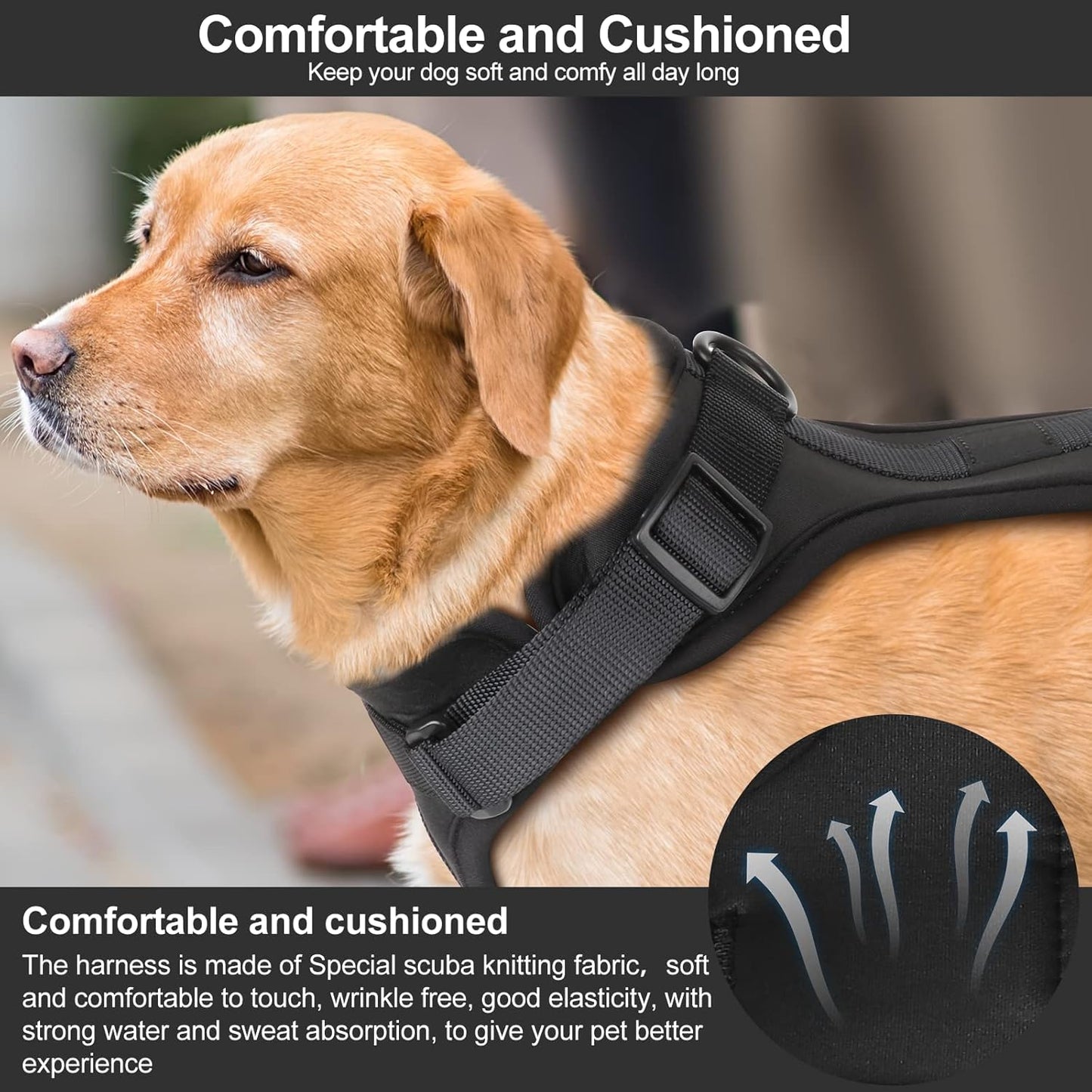 Wisedog No Pull Lightweight Dog Harness: Adjustable Breathable Mesh Pet Vest Harness with Soft & Comfortable Cushion, for Small Medium Large Dogs (Large, Black)