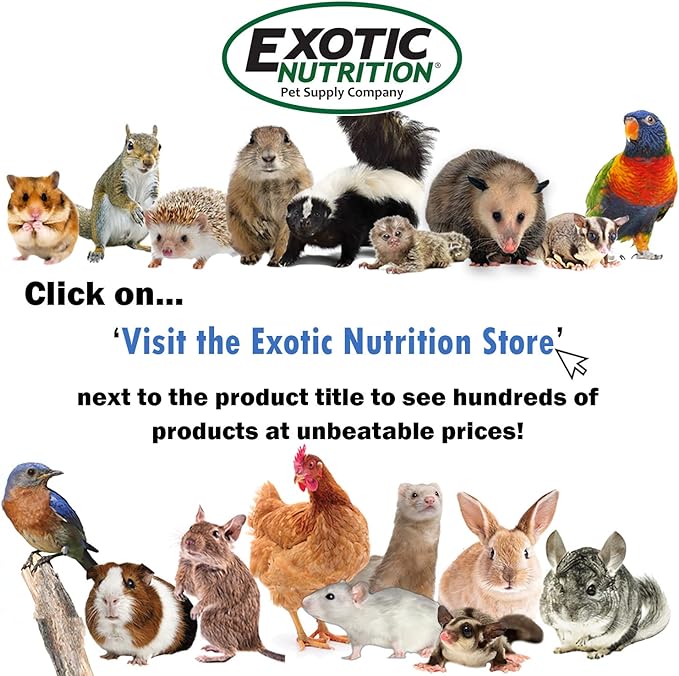 Exotic Nutrition Glider Complete 5 lb | Natural Fruit Bits | Sugar Glider Food