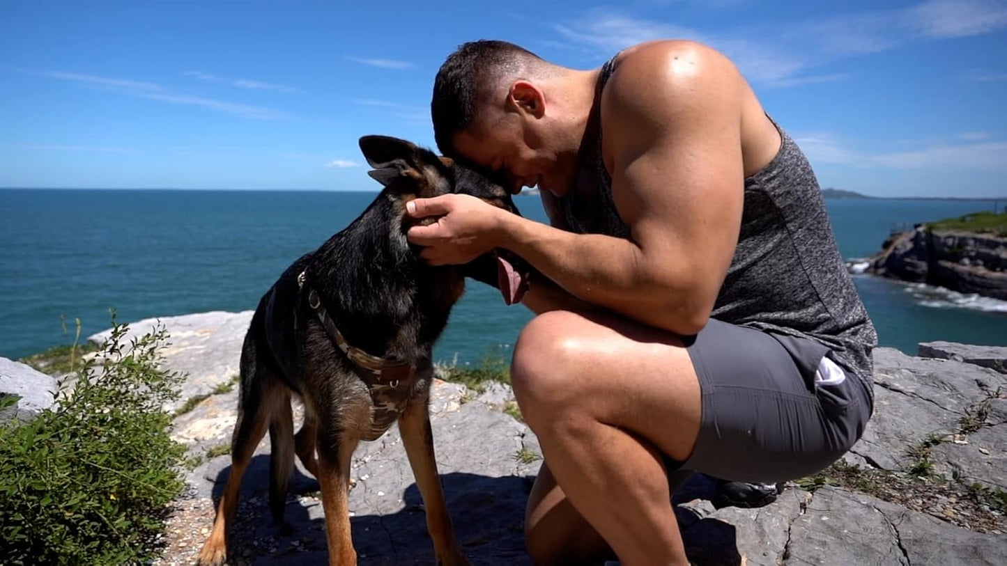 Puppytie Dog Harness & Multi-Function Leash Set for Medium Dogs - Camouflage Brown-L, No Pull Function, Soft Dog Vest Design