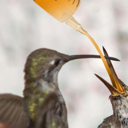 Baby Bird Feeding Syringe Set, Pet Parrot Milk Feeding Syringe with Tubes, Manual Syringe Feeder, Liquid Food, Reusable, Syringe with Spoon Tip（10ml*2+12ml*2+20ml+60ml）