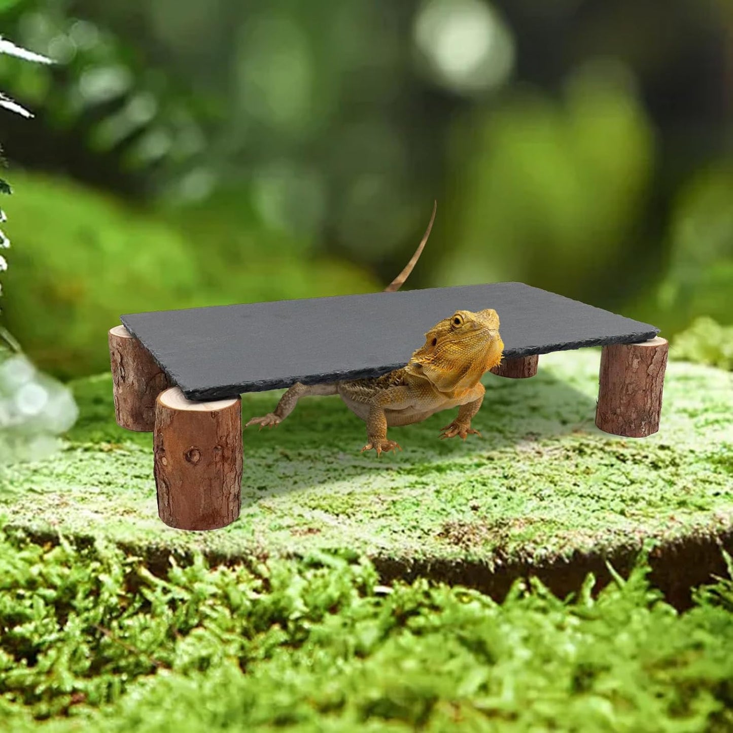 Bearded Dragon Basking Platform, Slate Rocks for Reptiles with Wooden Pile, Leopard Gecko Hides and Caves, Reptile Tank Accessories for Bearded Dragons, Geckos, Ball Pythons, Tortoise (Black, Large)