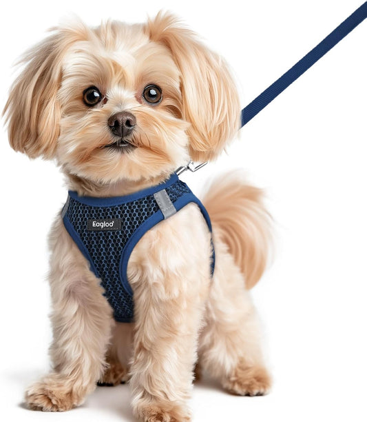 Eagloo Small Dog Harness and Leash Set, Step in Puppy Vest with Breathable Soft Mesh, Walking Reflective Pet Harness for Small Dogs, Navy Blue, XS