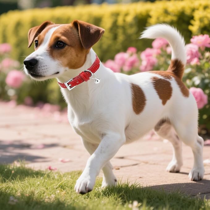 PUPTECK 2 PCS Soft Genuine Leather Cat Kitten Collar with Bells Adjustable for Girl Boy Cats Puppy - Red, Silvery