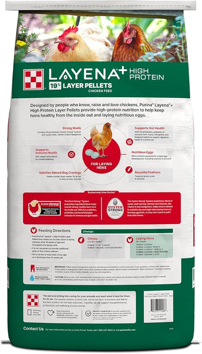 Purina Layena + High Protein Layer Chicken Feed (40 Pound)