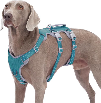 Huntboo Escape Proof Dog Harness, No Pull Reflective Harness with Lift Handle, Adjustable Pet Vest with Front and Back Leash Clips for Small Medium Large Dogs Walking Hiking Training (Teal,XL)