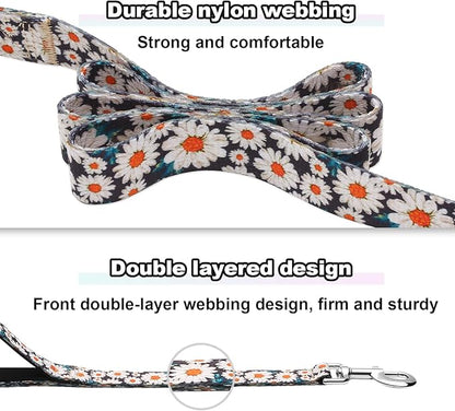 6ft Dog Leash with Two Padded Handles, Heavy Duty Strong Nylon Pet Leash with Soft Neoprene Handle for Small Medium Large Dogs, Daisy