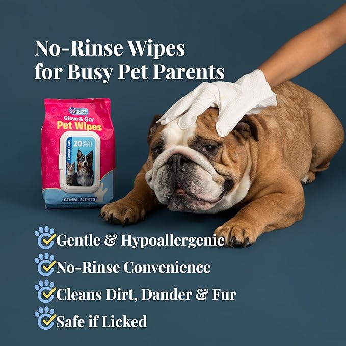 Dr. Paws Glove & Go Grooming Wipes for Dogs & Cats - Paraben Free, Alcohol Free, Lick-Safe, Hypoallergenic, Oatmeal Scented Dog Wipes for Paws and Butt, Puppy Wipes (20 Count)