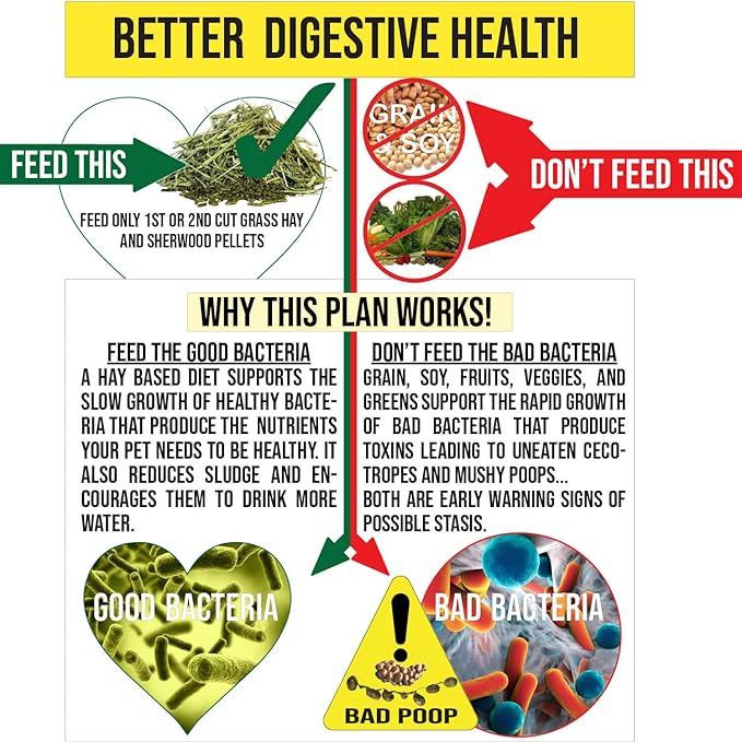 Sherwood Pet Health Adult Rabbit Food Professional 10 lbs, Grain and Soy-Free for Better Digestion