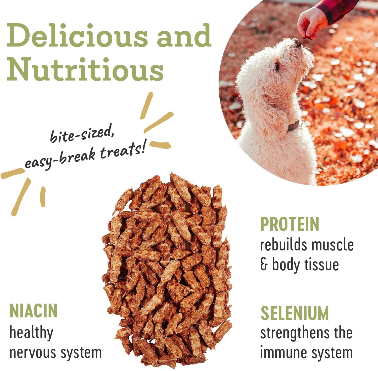 Farm Hounds - Chicken Trainers - Premium Natural Jerky for Dogs - 100% Humanely Raised Chicken - Easy-Break - Great for Training & Treats - No Added Fillers - Made in USA - 4.5oz - 2 Pack