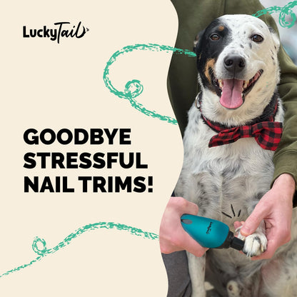 LuckyTail Pet Nail Grinder for Dogs and Cats - Super Quiet and Low Vibration Electric Dog Nail Grinder with 2 LED Lights - USB Rechargeable and Cordless - 2 Speeds - Small to Large Pets - Teal