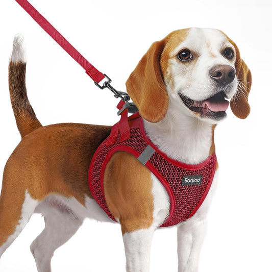 Eagloo Small Dog Harness and Leash Set, Step in Puppy Vest with Breathable Soft Mesh, Walking Reflective Pet Harness for Medium Small Dogs, Red, M