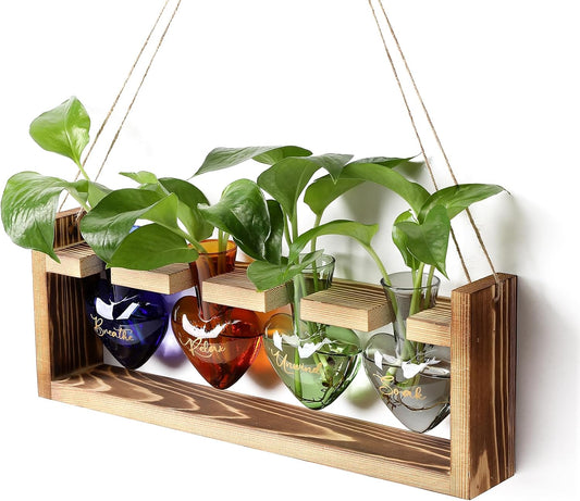 Plants Propagation Stations Plant Terrarium Kit for Bathroom Glass Planters for Indoor Plants Bathroom Decor Accessories - Relax Soak Unwind Breathe