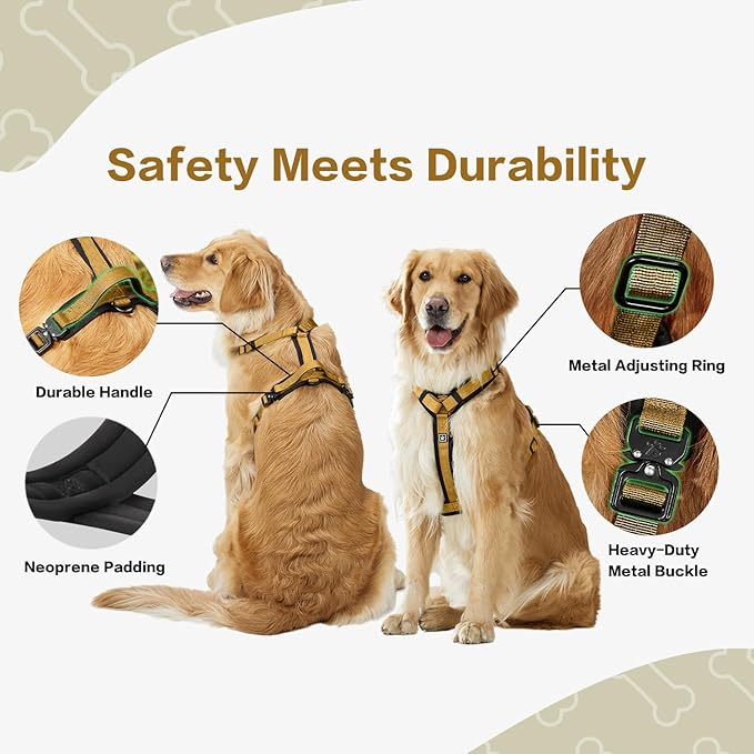 PawsPassion Dog Harness for Medium Dogs, No Pull Dog Harness Easy Walk with Metal Hardware, Ergonomic Y-Shaped Design, Soft Padding, Padded Handle, Durable High-Tensile Nylon (Sunrise, M)