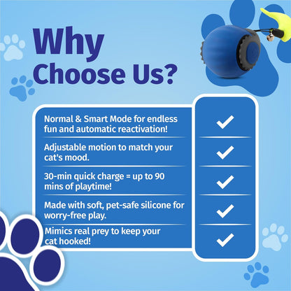 Speedy Tail 2.0 Cat Toy, Interactive Cat Toys for Indoor, Automatic Moving Kitten Rolling Ball with Tail, Rechargeable & Two Speed Adjustment, Smart Interactive Dog Ball, Rollie Pet Chase, Blue