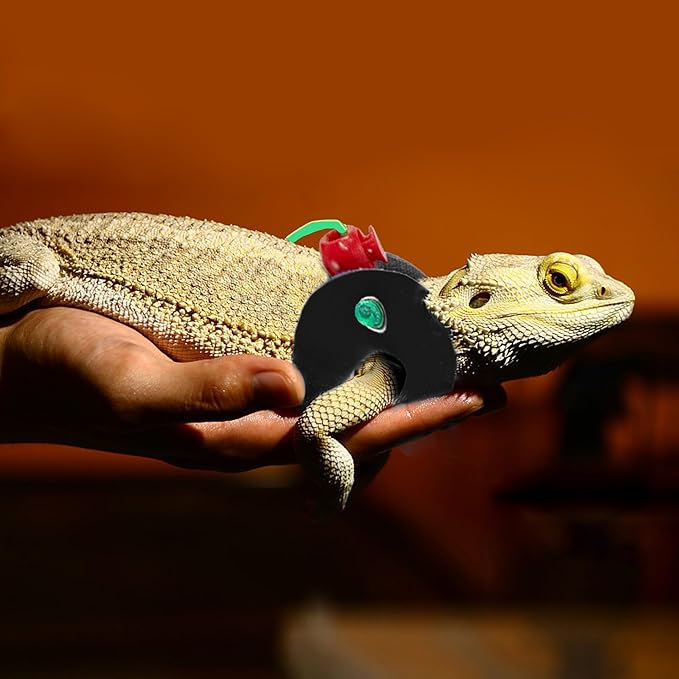 AIITLE Soft Leather Lizard Leash & Harness - Adjustable 3-Size Pack Bearded Dragon Harness for Small Pets: Chameleons, Ferrets, Hamsters, Juvenile Iguanas, Black