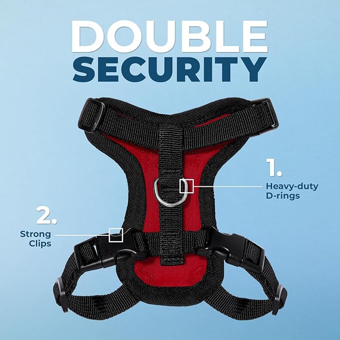 Voyager Step-in Lock Adjustable Cat Harness w. Cat Leash Combo Set with Neoprene Handle 5ft - Supports Small, Medium and Large Breed Cats by Best Pet Supplies - Red/Black Trim, XXXS