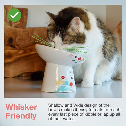 Necoichi Raised Cat Food Bowl – Ceramic Elevated 15° Tilted Cat Bowl for Whisker & Neck Fatigue, Dishwasher Microwave Safe – Non-Slip & Anti Vomiting Ergonomic Design (Fuji, Extra Wide Tilted)