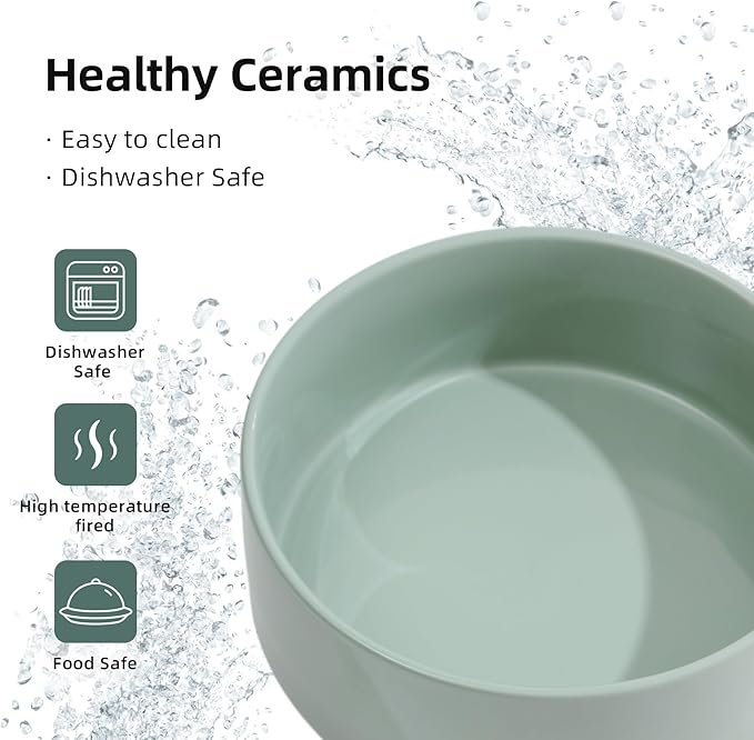 Ceramic 8.2inch Raised Dog Bowl with Stand for Large- Breed Dogs, Pet Food and Water Feeder (Double Bowl with Stand - Light Green)