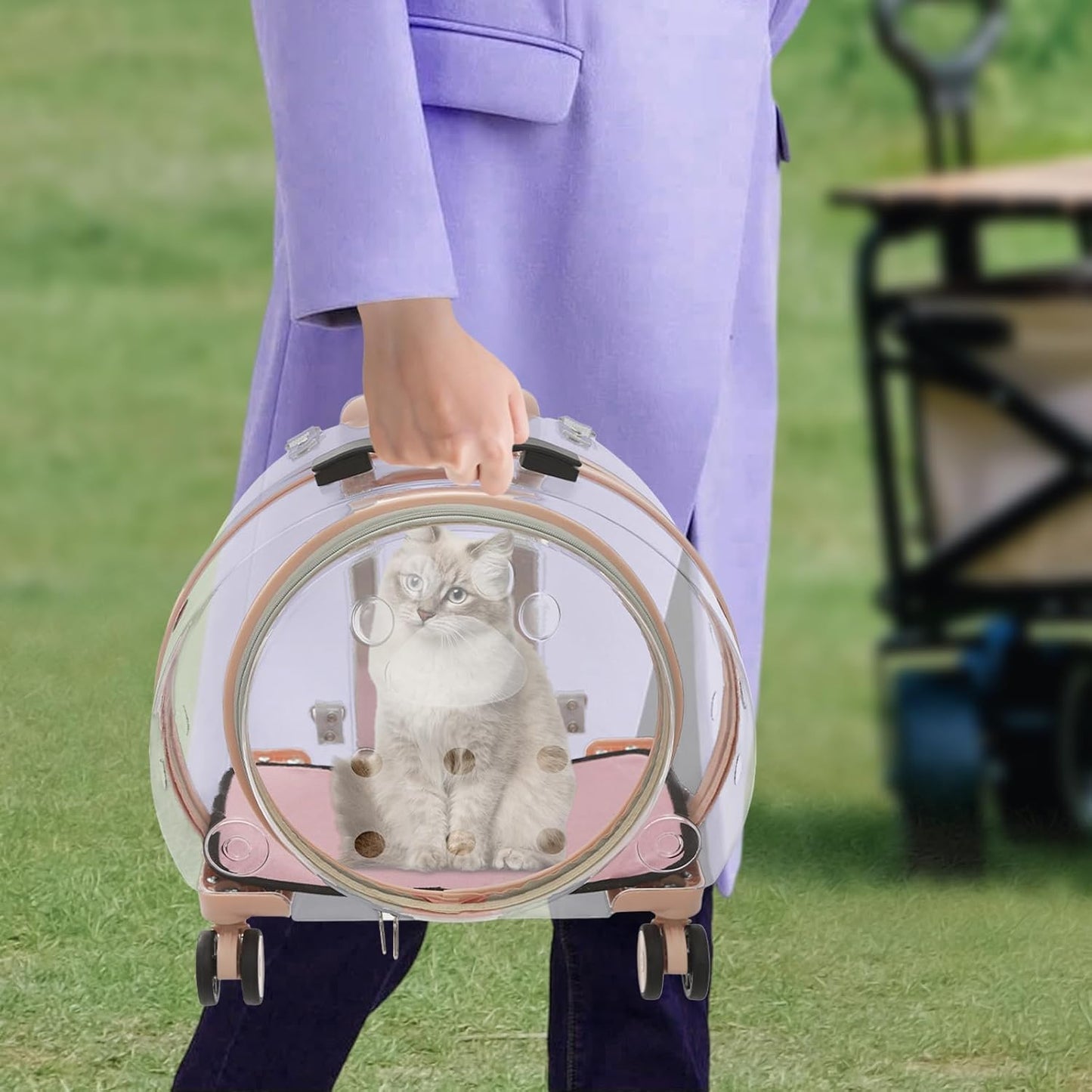 Cat Backpack Carrier, Transparent & Fully Breathable Hard cat Carrier with Rolling Wheels for Kitty Small Dog up to 19lbs, Multiple Carrying Options, Perfect for Travel Hiking, Pink, Clear