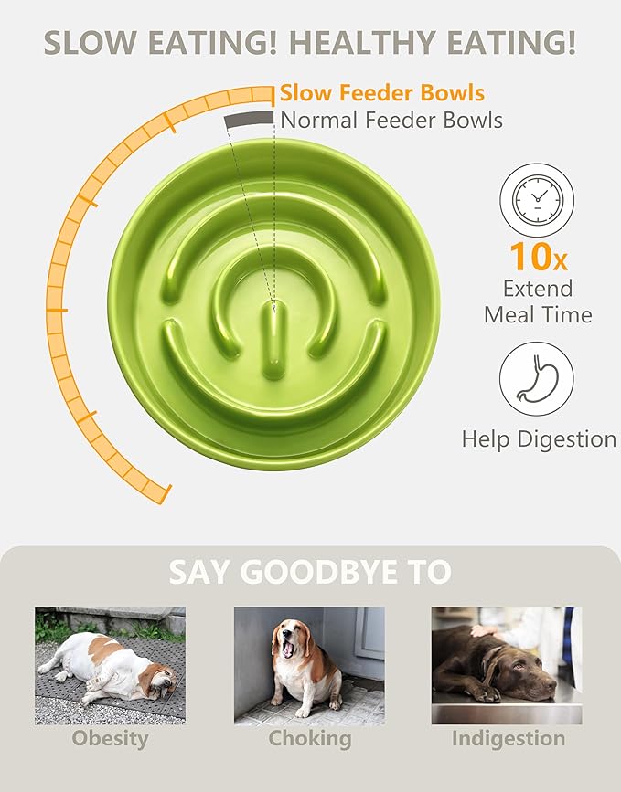 Ceramic Slow Feeder Dog Bowls, 0.6 Cup Slow Feeder for Small Dogs and Cats, Puzzle Maze Bowl, Prevents Choking, 6in, Green