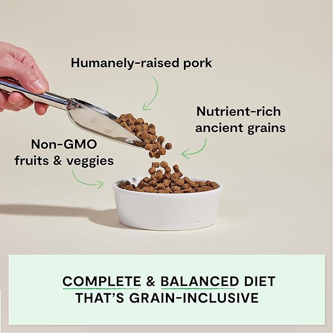 Open Farm, Ancient Grains Dry Dog Food, Protein-Rich & Nutrient Dense, 90% Animal Protein Mixed with Non-GMO Fruits, Veggies and Superfoods, Farmer's Table Pork Recipe, 22lb Bag