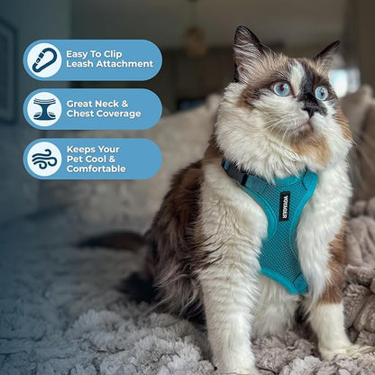 Voyager Step-in Lock Adjustable Cat Harness w. Cat Leash Combo Set with Neoprene Handle 5ft - Supports Small, Medium and Large Breed Cats by Best Pet Supplies - Turquoise, XS