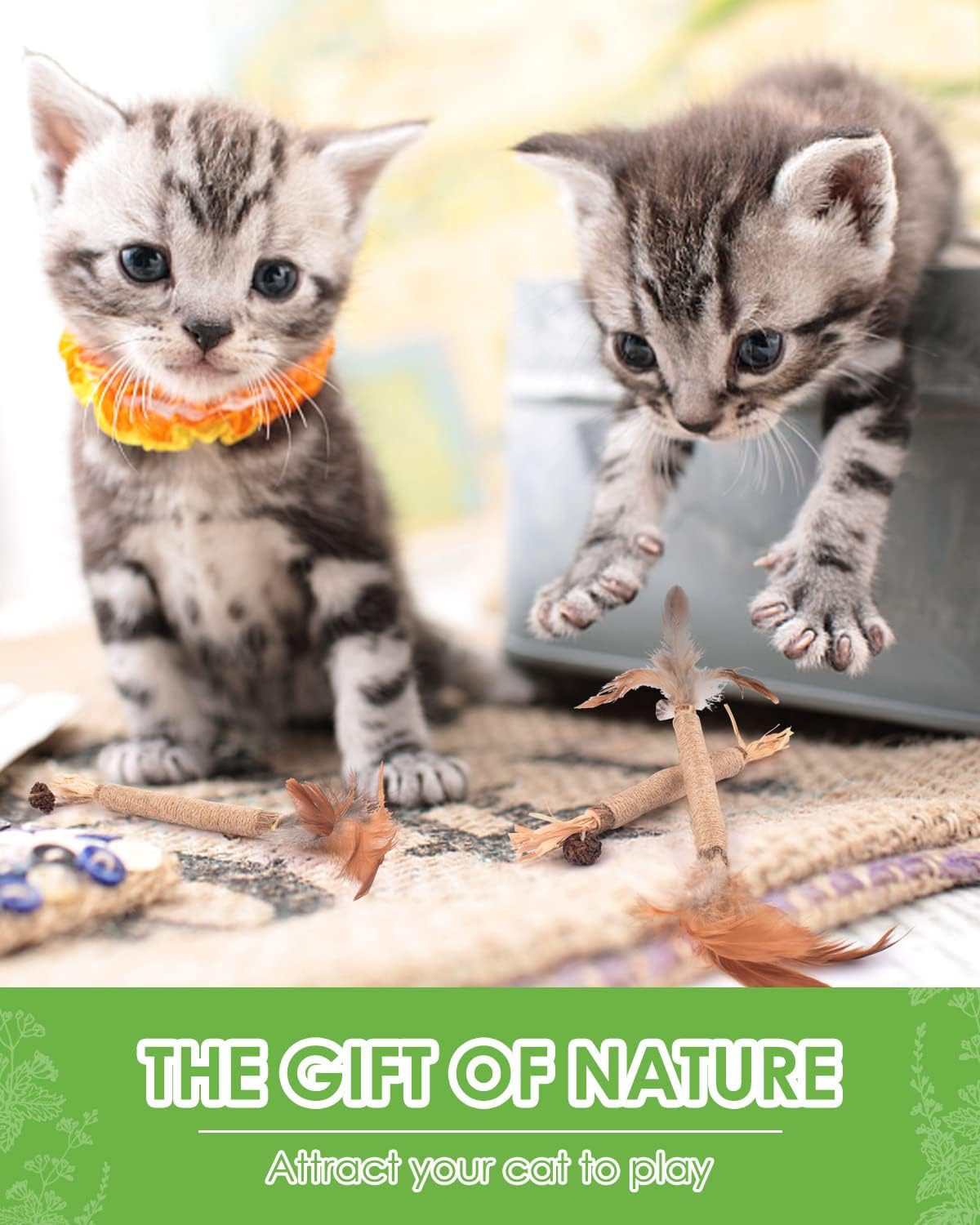 TINDTOP Silvervine Sticks for Cats with Natural Feather, Catnip Chew Toys for Kittens Teeth Cleaning, Increase Appetite, Calm Cat Anxiety and Stress, Cat Dental Toy (3 Pack)