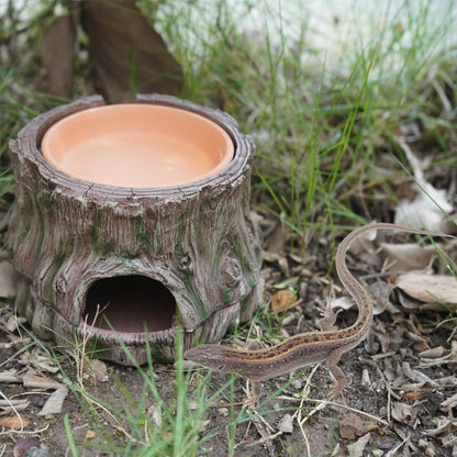 Reptile Hideout with Detachable Base and Humidity Dish, Gecko Hide Climbing Toy Tank Accessories, Terrarium Decor, Reptile Hide Cave for Crested Gecko,Lizard, Snake, Crabs