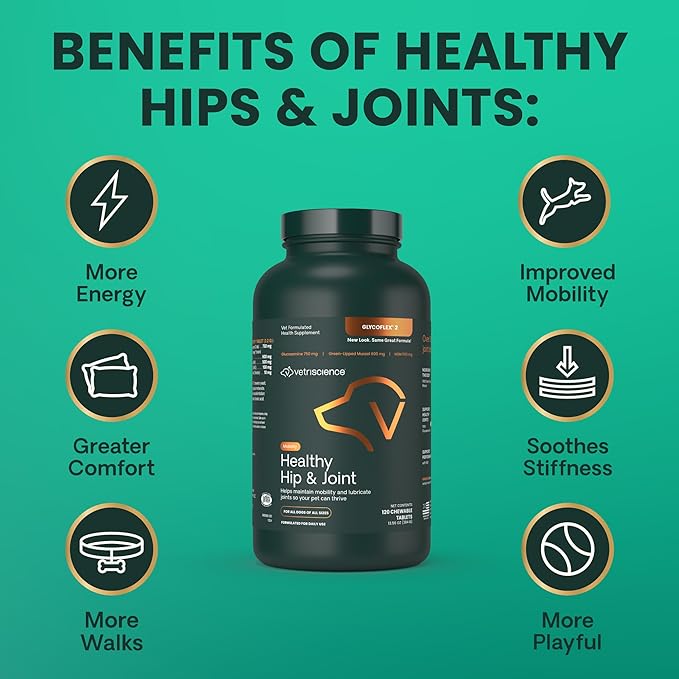 VetriScience Healthy Hip & Joint Chewable Tablets, GlycoFlex Glucosamine and Green-Lipped Mussel Joint Support Supplement for Dogs, Promote Mobility and Protect Joints, Chicken, 120 Count