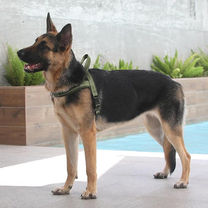 Plutus Pet No Pull Dog Harness with Breathable Mesh Padded, Adjustable Reflective Escape Proof Dog Harness, Quick Fit Dog Vest Harness for Small Medium Large Dogs(M, Ranger Green)