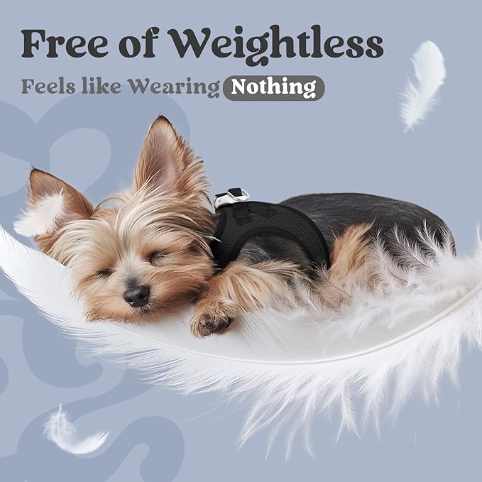 rabbitgoo Small Dog Harness, Step-in Soft Mesh Puppy Vest with Safety Buckle, Breathable Reflective Pet Harness for Small Sized Dogs, Black S