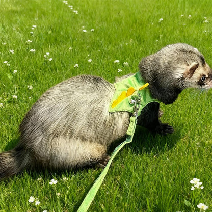 Ferret Leash and Harness Set, Dinosaur Design Small Animal Harness with Leash, Adjustable & Escape-Proof, Soft Plush Comfort for Rabbits, Kitten, Bunny, Hedgehog (Green)