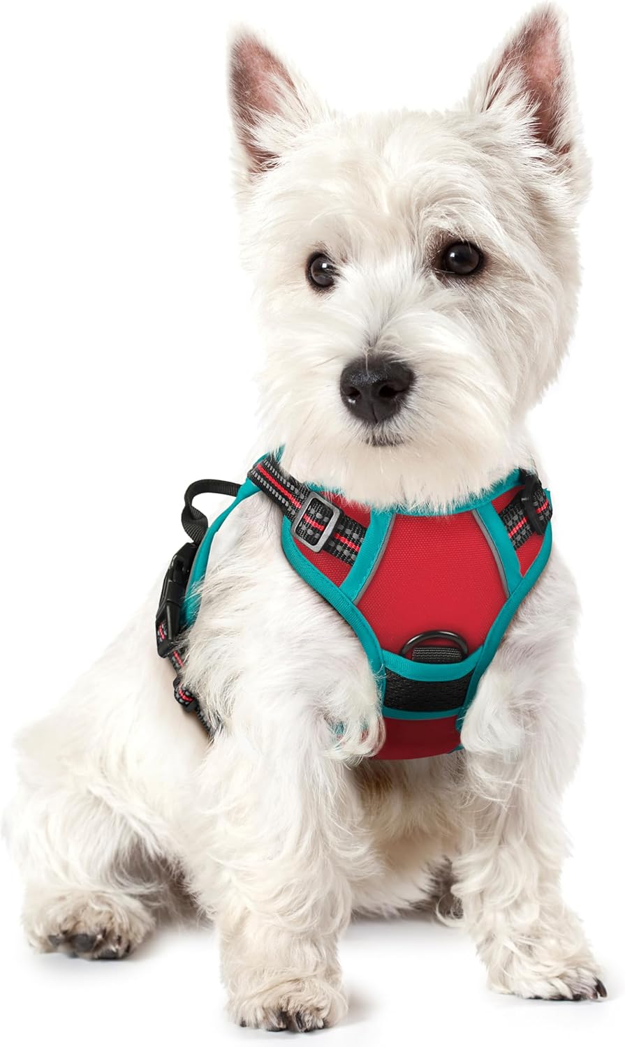 rabbitgoo Dog Harness No Pull with 2 Leash Clips, Adjustable Soft Padded, Reflective Oxford No Choke Pet Vest with Easy Control Handle for Puppy, Red & Teal, XS