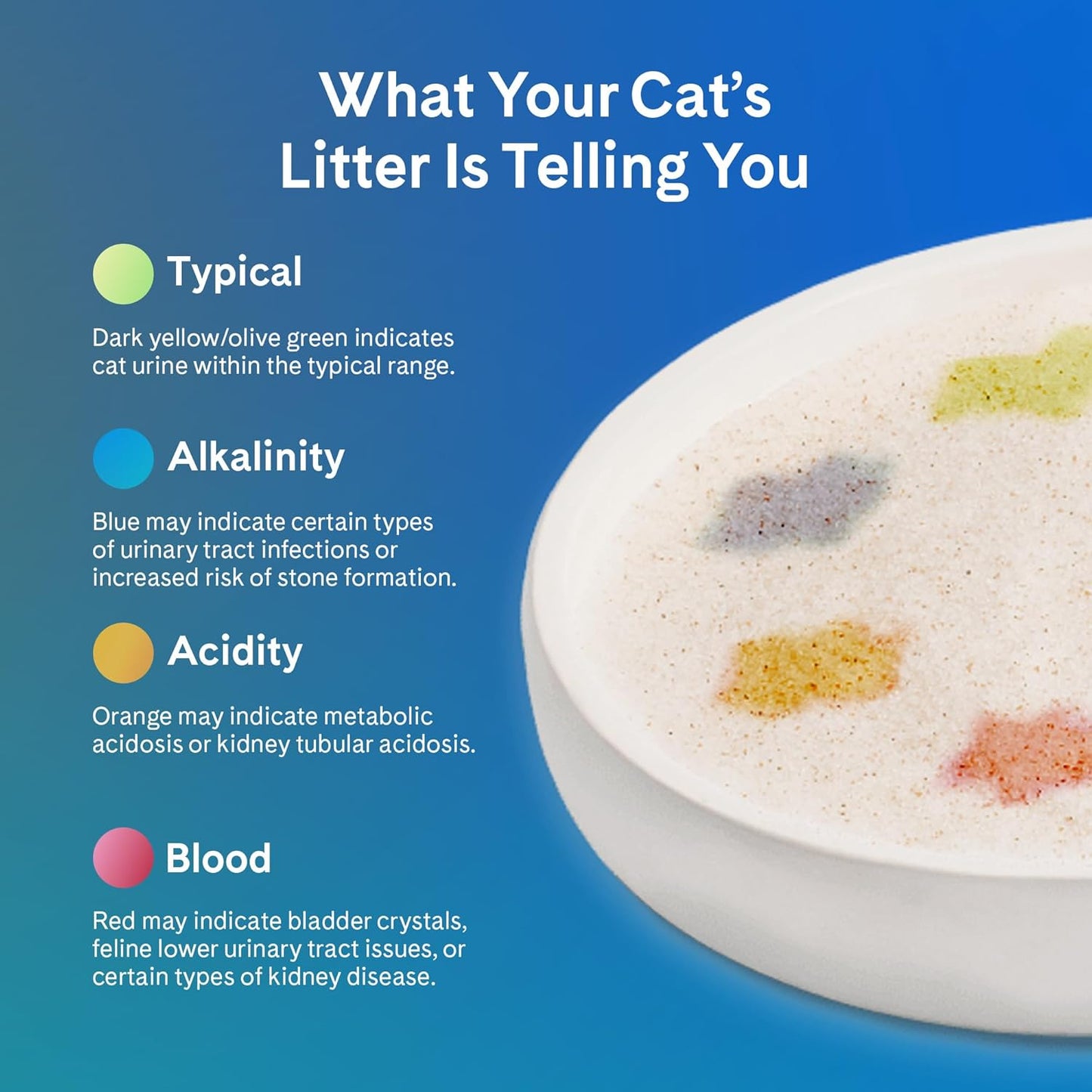 PrettyLitter Health Monitoring Cat Litter (Lotus Flower, Non Clumping) | Lightweight & Low Tracking, Color Changing Silica Gel Crystals, Advanced Odor Control — 6 Lbs, Pack of 1 (One Month Supply)