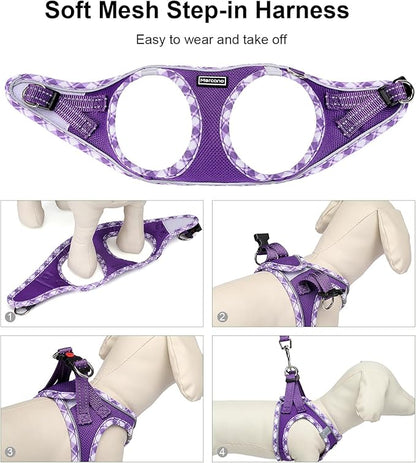 Mercano Soft Mesh Dog Harness and Leash Set, No-Chock Step-in Reflective Breathable Lightweight Easy Walk Vest Harnesses with Safety Buckle for Small Dogs, Cats (XS, Purple)