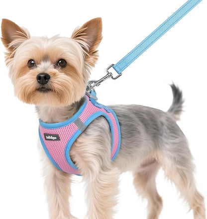 rabbitgoo Dog Harness Small Sized and Leash Set, Step-in Breathable Pet Harness, Soft Walking Reflective Puppy Vest for Small Dogs, Pink & Light Blue, XS