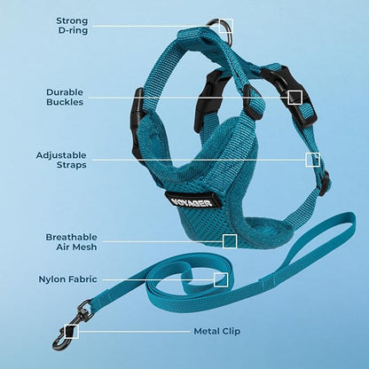 Voyager Step-in Lock Adjustable Cat Harness w. Cat Leash Combo Set with Neoprene Handle 5ft - Supports Small, Medium and Large Breed Cats by Best Pet Supplies - Turquoise, XS
